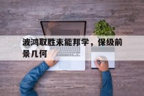 波鸿取胜未能邦学，保级前景几何的简单介绍